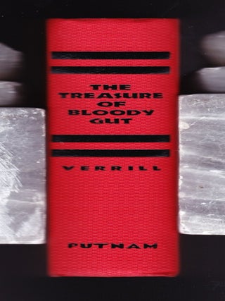 The Treasure of Bloody Gut