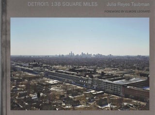 Item #2041 Detroit 138 Square Miles. Julia Reyes Taubman