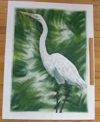 Item #278 Great Egret, an original copper plate engraving from the collection of twenty Birds of...