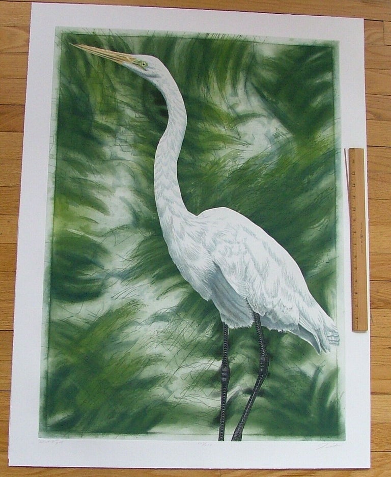 Item #278 Great Egret, an original copper plate engraving from the collection of twenty Birds of Florida. 1/250 signed by John Costin. John Costin.