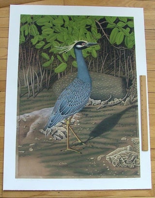 Item #281 Yellow Crowned Night Heron, an original copper plate engraving from the collection of...