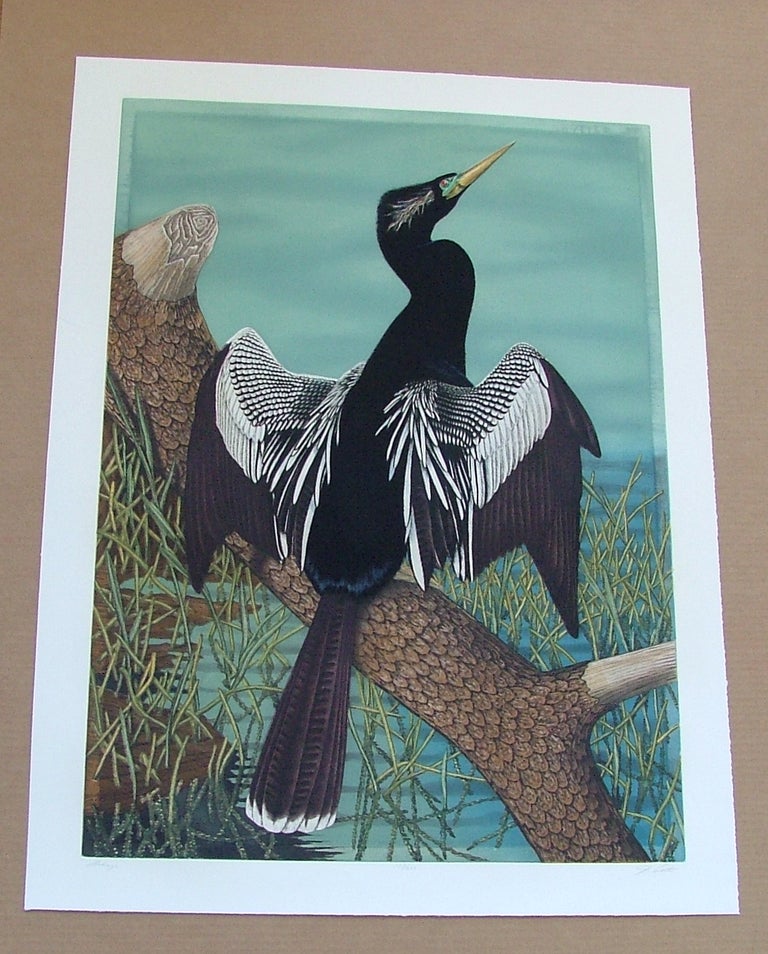 Item #284 Anhinga, an original copper plate engraving from the collection of twenty Birds of Florida. 1/250 signed by John Costin. John Costin.