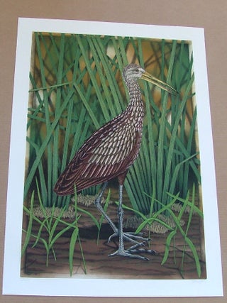 Item #285 Limpkin, an original copper plate engraving from the collection of twenty...