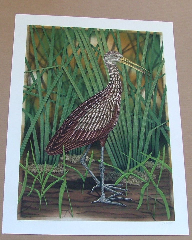 Item #285 Limpkin, an original copper plate engraving from the collection of twenty Birds of Florida. 1/250 signed by John Costin. John Costin.
