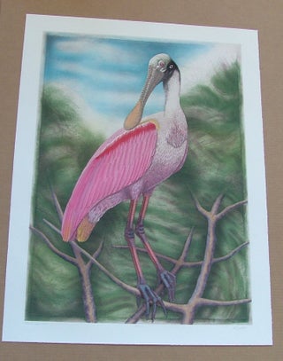 Item #286 Spoonbill, an original copper plate engraving from the collection of twenty Birds of...