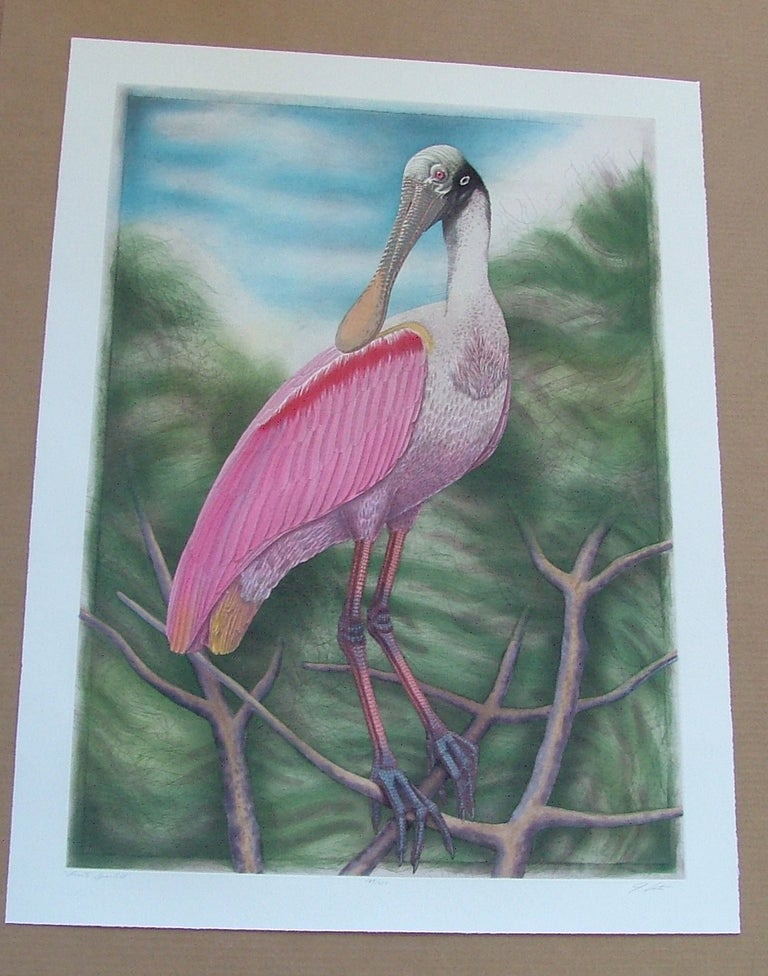 Item #286 Spoonbill, an original copper plate engraving from the collection of twenty Birds of Florida. 1/250 signed by John Costin. John Costin.