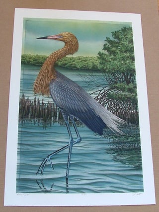 Item #287 Reddish Egret, an original copper plate engraving from the collection of...