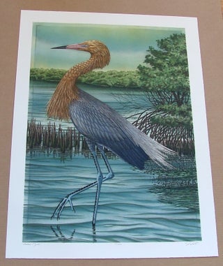 Item #287 Reddish Egret, an original copper plate engraving from the collection of twenty Birds...