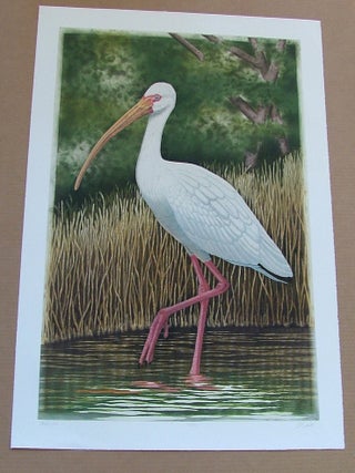 Item #289 White Ibis, an original copper plate engraving from the collection of...