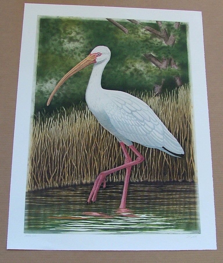 Item #289 White Ibis, an original copper plate engraving from the collection of twenty Birds of Florida. 1/250 signed by John Costin. John Costin.