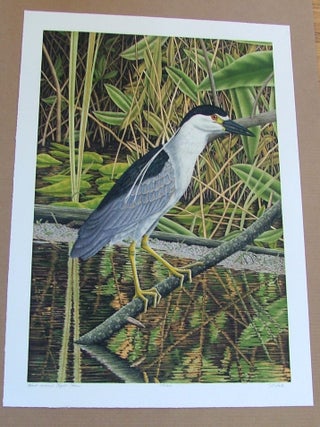 Item #290 Black Crowned Night Heron, an original copper plate engraving from the...