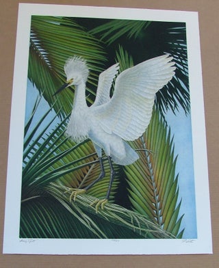 Item #292 Snowy Egret, an original copper plate engraving from the collection of twenty Birds of...