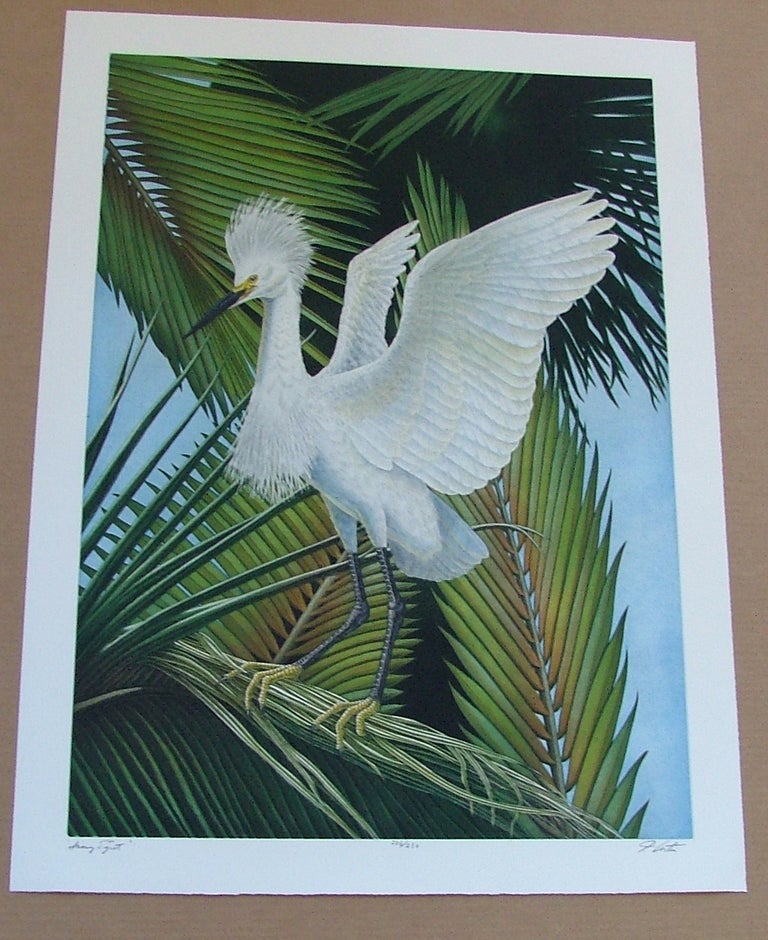 Item #292 Snowy Egret, an original copper plate engraving from the collection of twenty Birds of Florida. 1/250 signed by John Costin. John Costin.