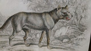 The Naturalist's Library Conducted by Sir William Jardine, Bart. Mammalia Vol. IX DOGS. Canidae or Genus Canis of Authors. Including also the Genera Hyaena and Proteles.