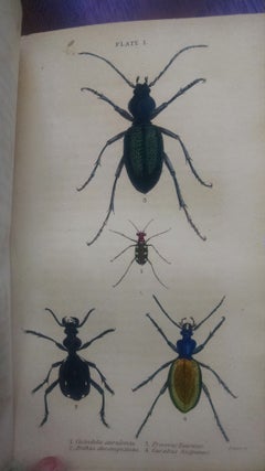 Item #398 The Naturalist's Library, Entomology. Vol. II. Beetles. Sir WIlliam Jardine, Bart.,...