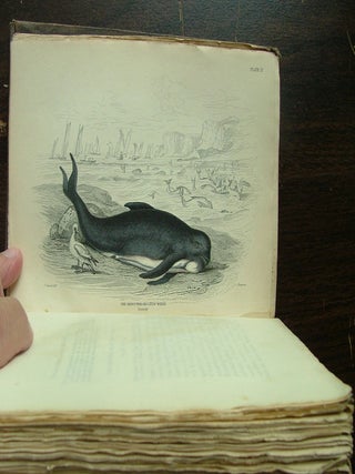 Item #412 The Naturalist's Library. Mamalia. Vol. VI on the Ordinary Cetacea or...