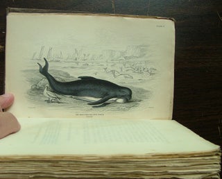 Item #412 The Naturalist's Library. Mamalia. Vol. VI on the Ordinary Cetacea or Whales. Sir...