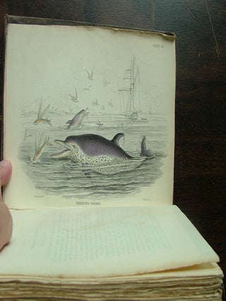 The Naturalist's Library. Mamalia. Vol. VI on the Ordinary Cetacea or Whales.