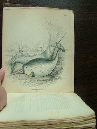 The Naturalist's Library. Mamalia. Vol. VI on the Ordinary Cetacea or Whales.