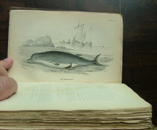 The Naturalist's Library. Mamalia. Vol. VI on the Ordinary Cetacea or Whales.