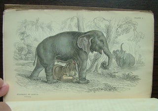 The Natural History of The Pachydermes, or Thick-Skinned Quadrupeds; Consisting of the Elephant, Rhinoceros, Hippopotamus, Tapir, Hog, &c.