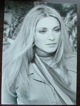 Item #536 11-3/4" x 8"glossy double weight black and white photo of Sharon Tate from...